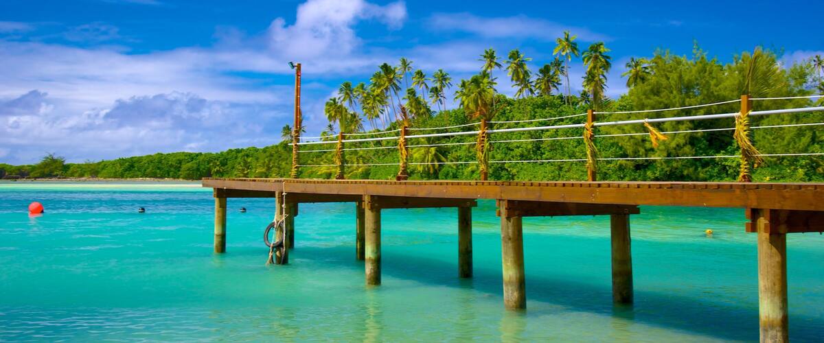 A wooden pier extending into turquoise waters, supported by wooden pillars, with palm trees and a clear sky in the background.
