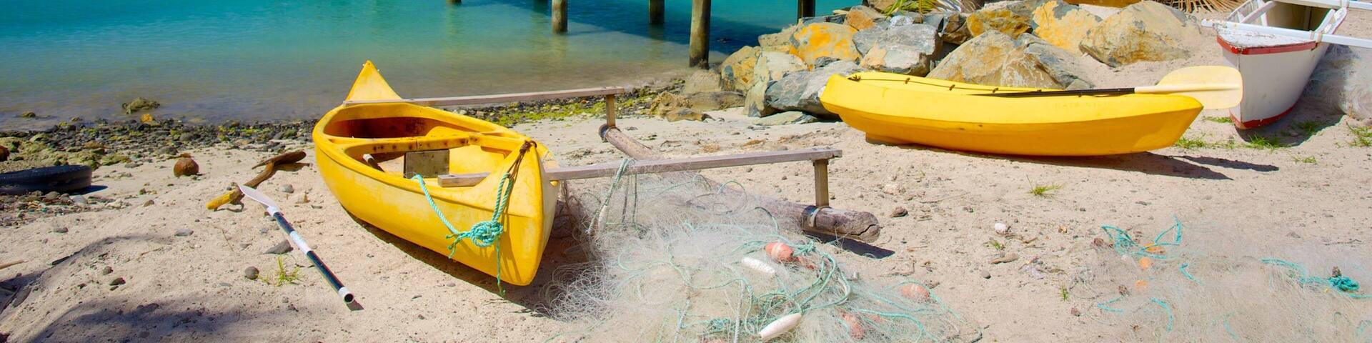 Muri Beach showing general coastal views and tropical scenes
