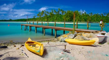 Muri Beach showing tropical scenes and general coastal views