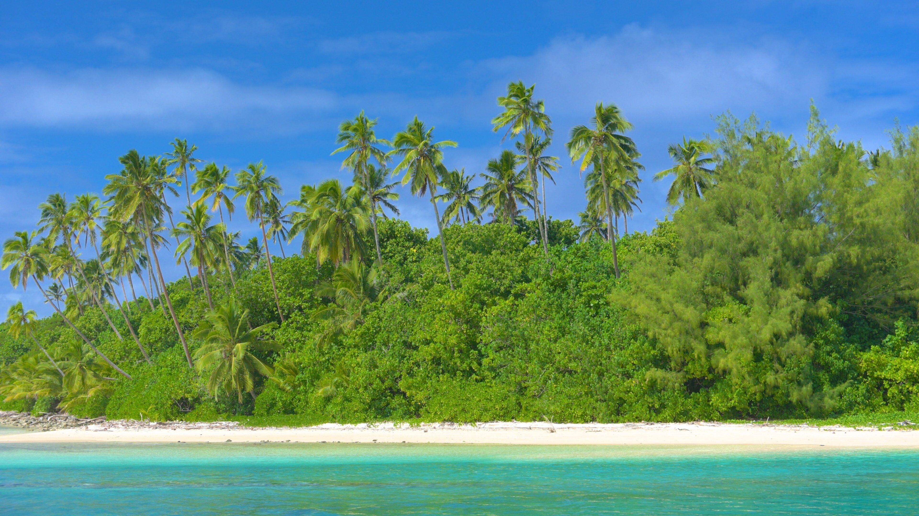 Playa Muri mostrando una playa