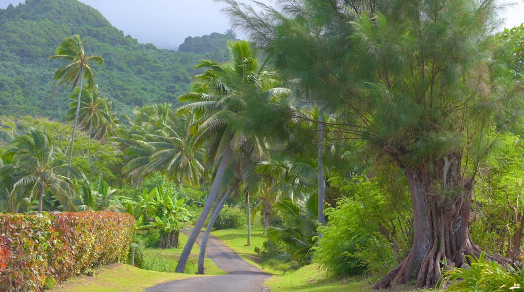 Titikaveka welches beinhaltet ruhige Szenerie