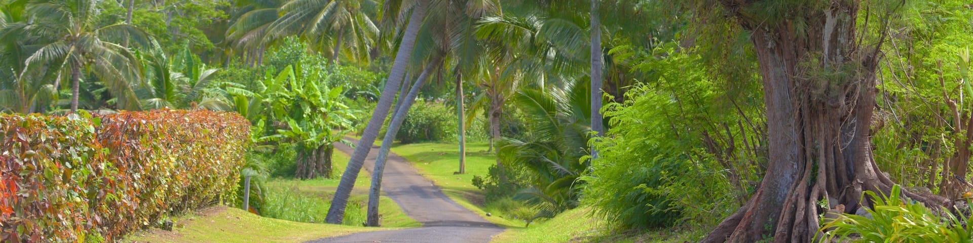 Titikaveka mostrando paesaggi rilassanti