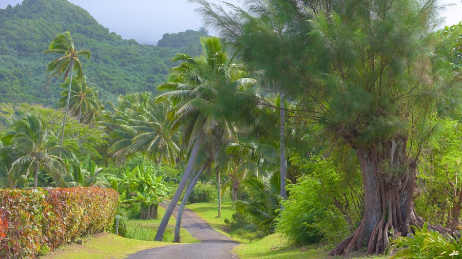 Quận Titikaveka trong đó bao gồm cảnh thanh bình