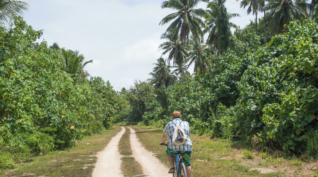 The most picture perfect beach I had ever seen was on Aitutaki in the Cook Islands. We rode our old rented bicycles down a narrow sand road, and there was nobody around so we got the beach to ourselves!
