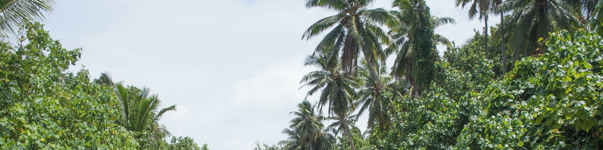 The most picture perfect beach I had ever seen was on Aitutaki in the Cook Islands. We rode our old rented bicycles down a narrow sand road, and there was nobody around so we got the beach to ourselves!