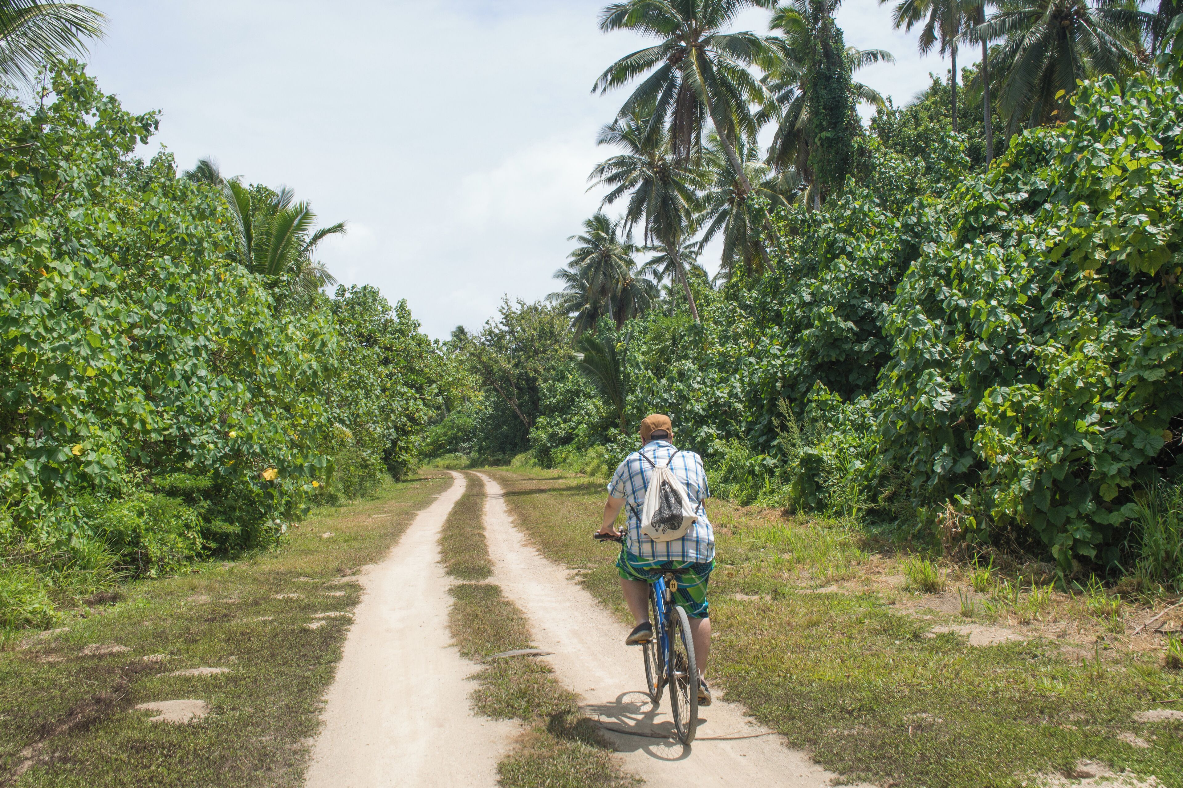 A person riding a bicycle on a dirt path surrounded by lush greenery and palm trees.