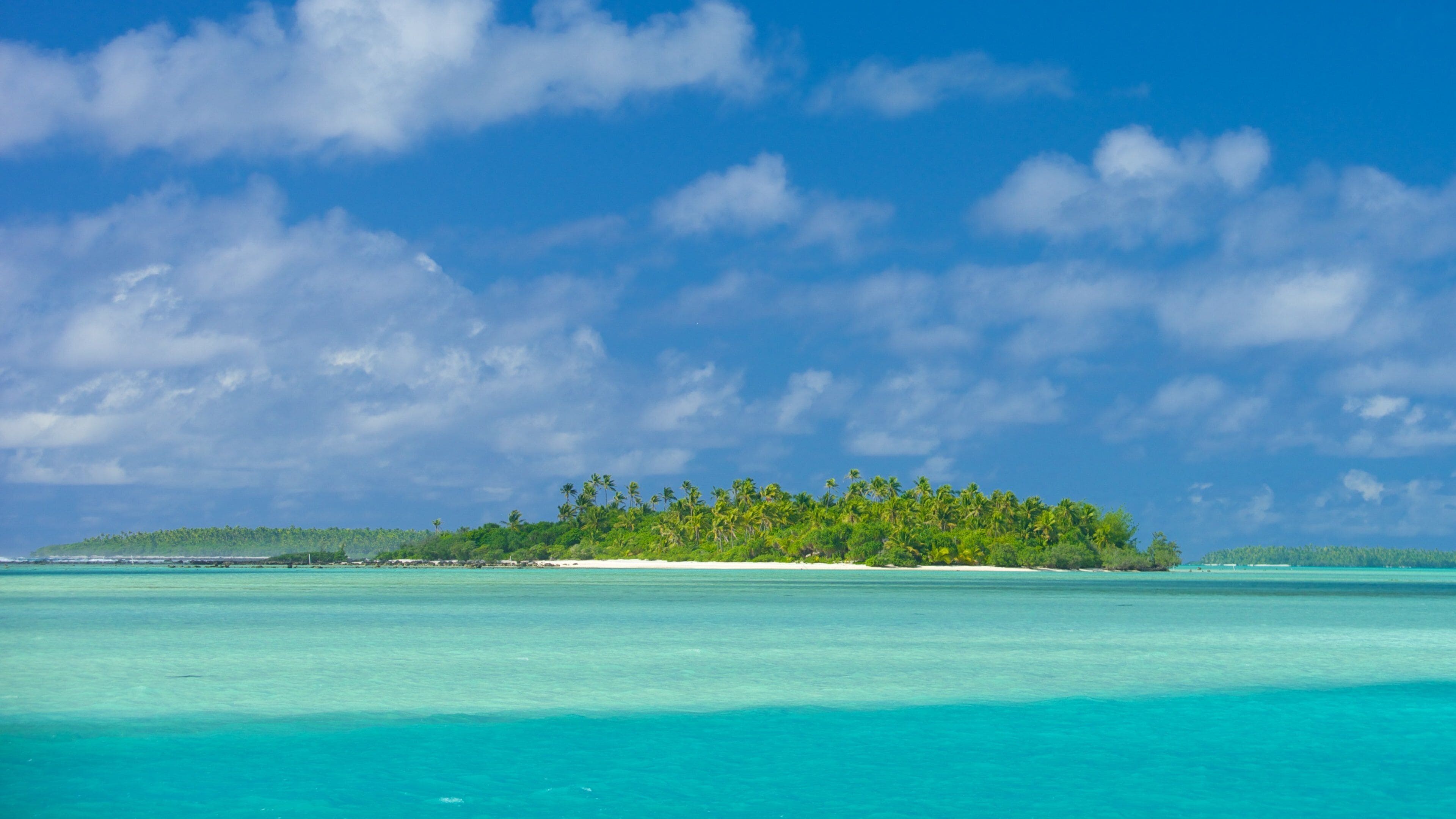 Aitutaki som viser kyst og tropisk landskap