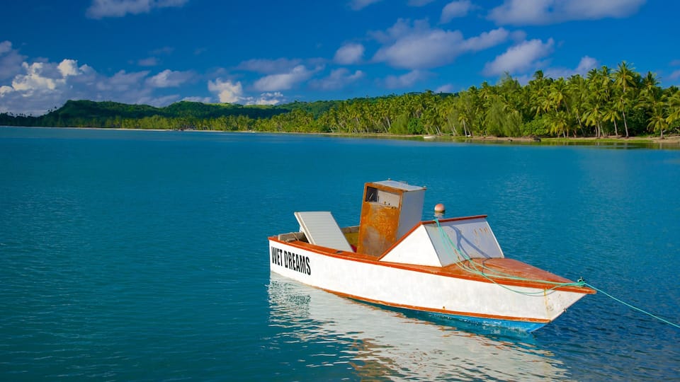 A small boat named "WET DREAMS" on calm turquoise waters with a clear sky and a forested island in the background.