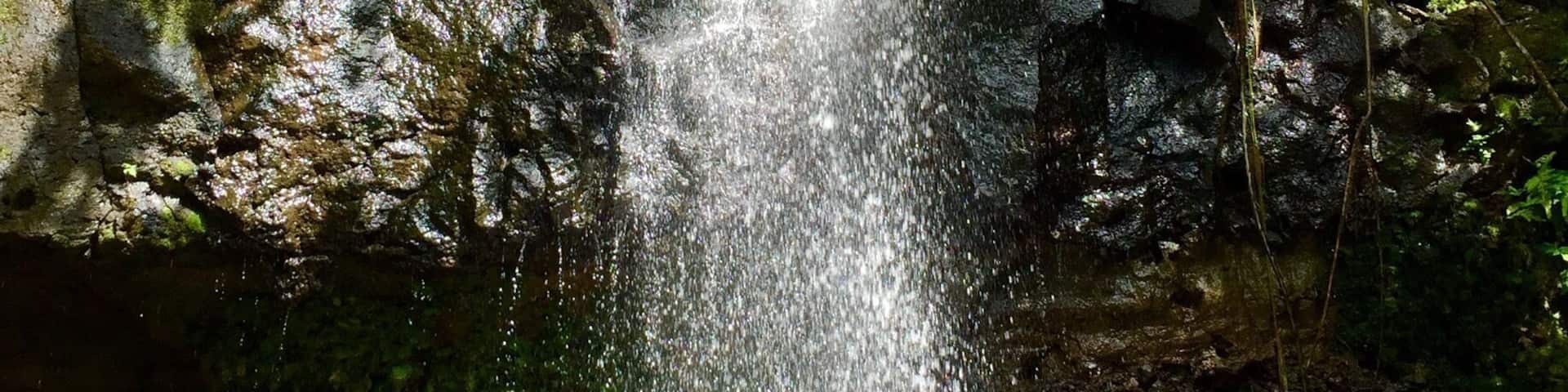 A small waterfall with a cool swimming pool at the base, just an easy 5 minute walk off the dirt road leading to Walung village. #kosrae #waterfall