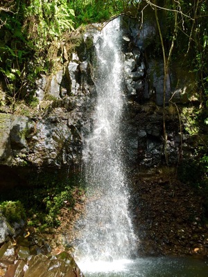 A small waterfall with a cool swimming pool at the base, just an easy 5 minute walk off the dirt road leading to Walung village. #kosrae #waterfall