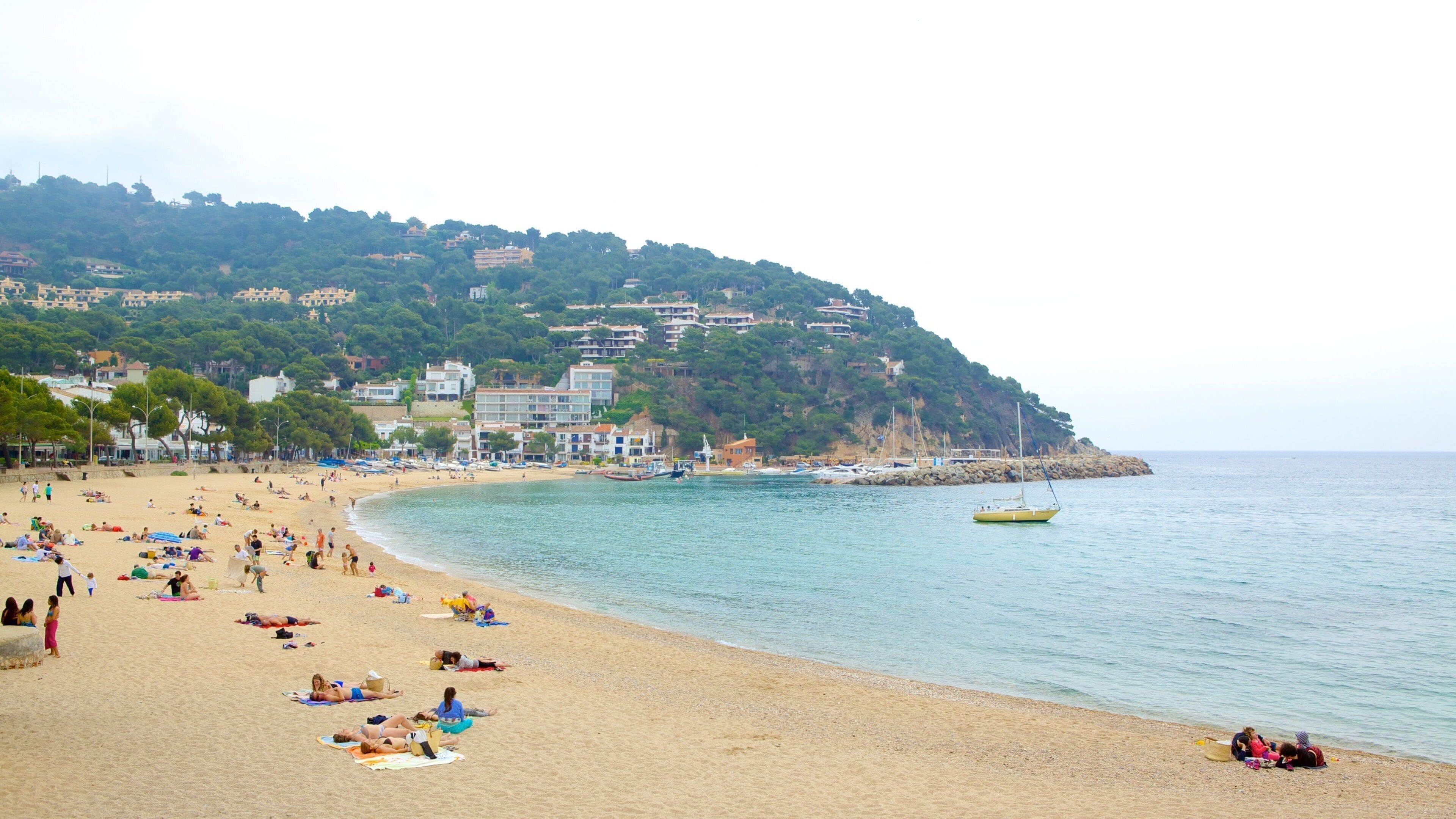 陽法蘭 呈现出 海灘