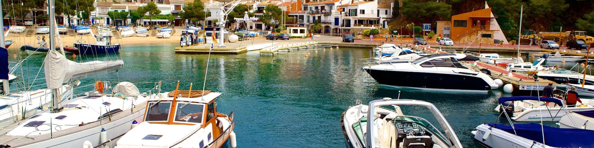 Llafranc which includes a coastal town and a marina