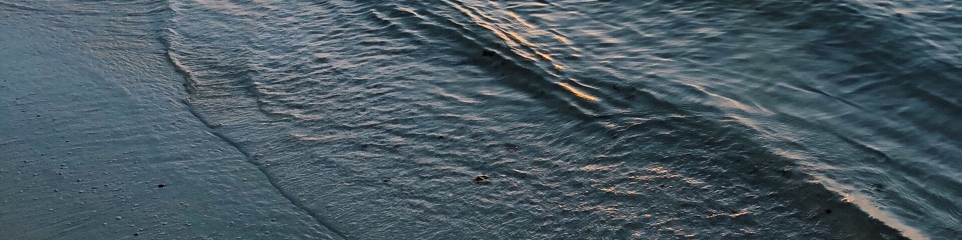 Une plage où les vagues viennent doucement lécher le rivage.