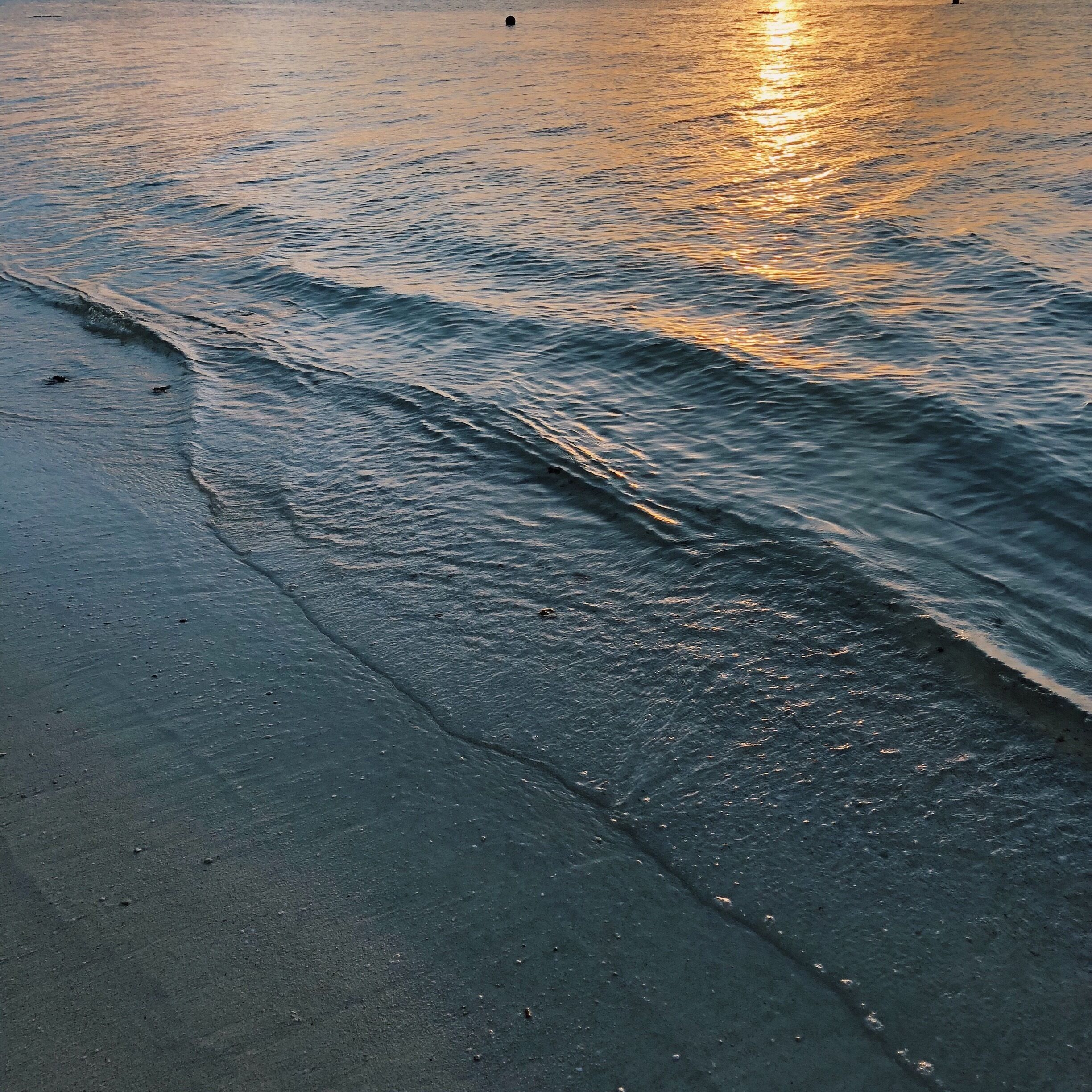 A beach with waves gently lapping onto the shore.