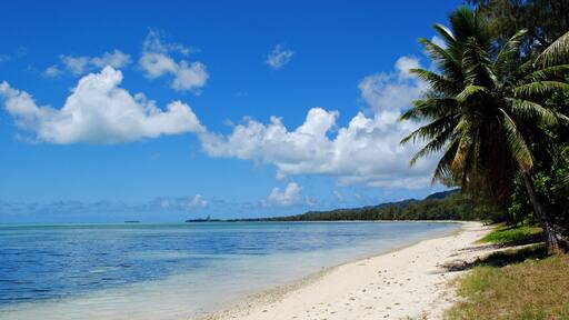 White sandy Susupe Beach, Saipan, Northern Mariana Islands Susupe Beach in Saipan not only boasts of a picturesque white sands and clear blue waters