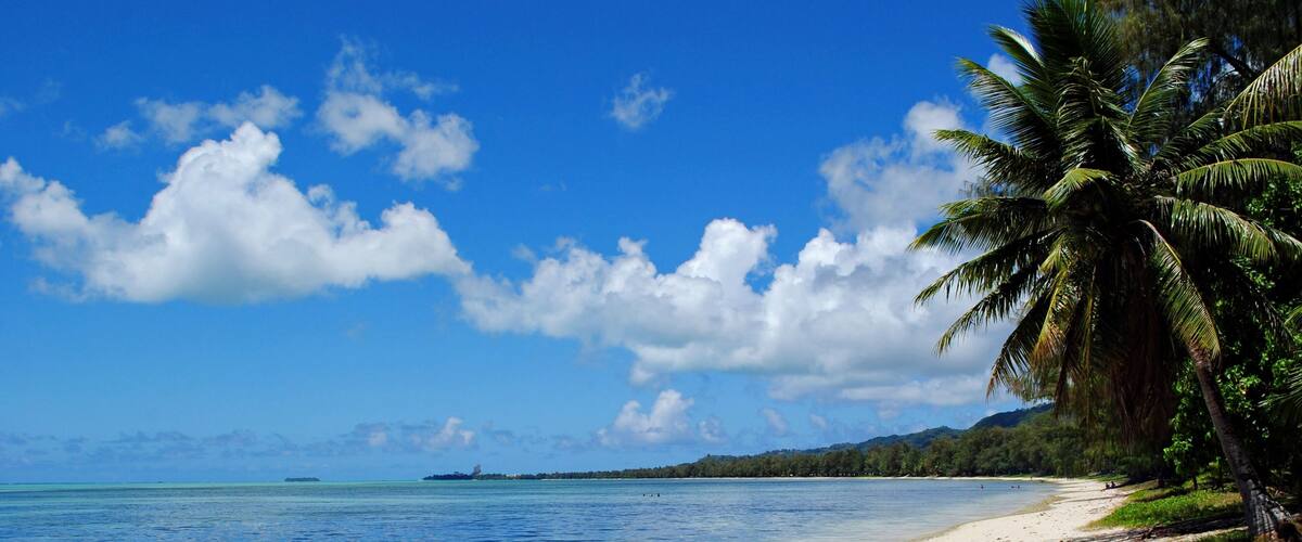 A beach with clear blue water, white sand, and palm trees.