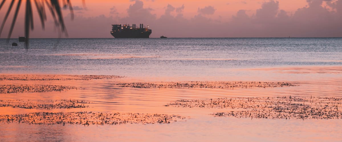 A sunset over a calm sea with a large ship in the distance and a palm tree in the foreground.