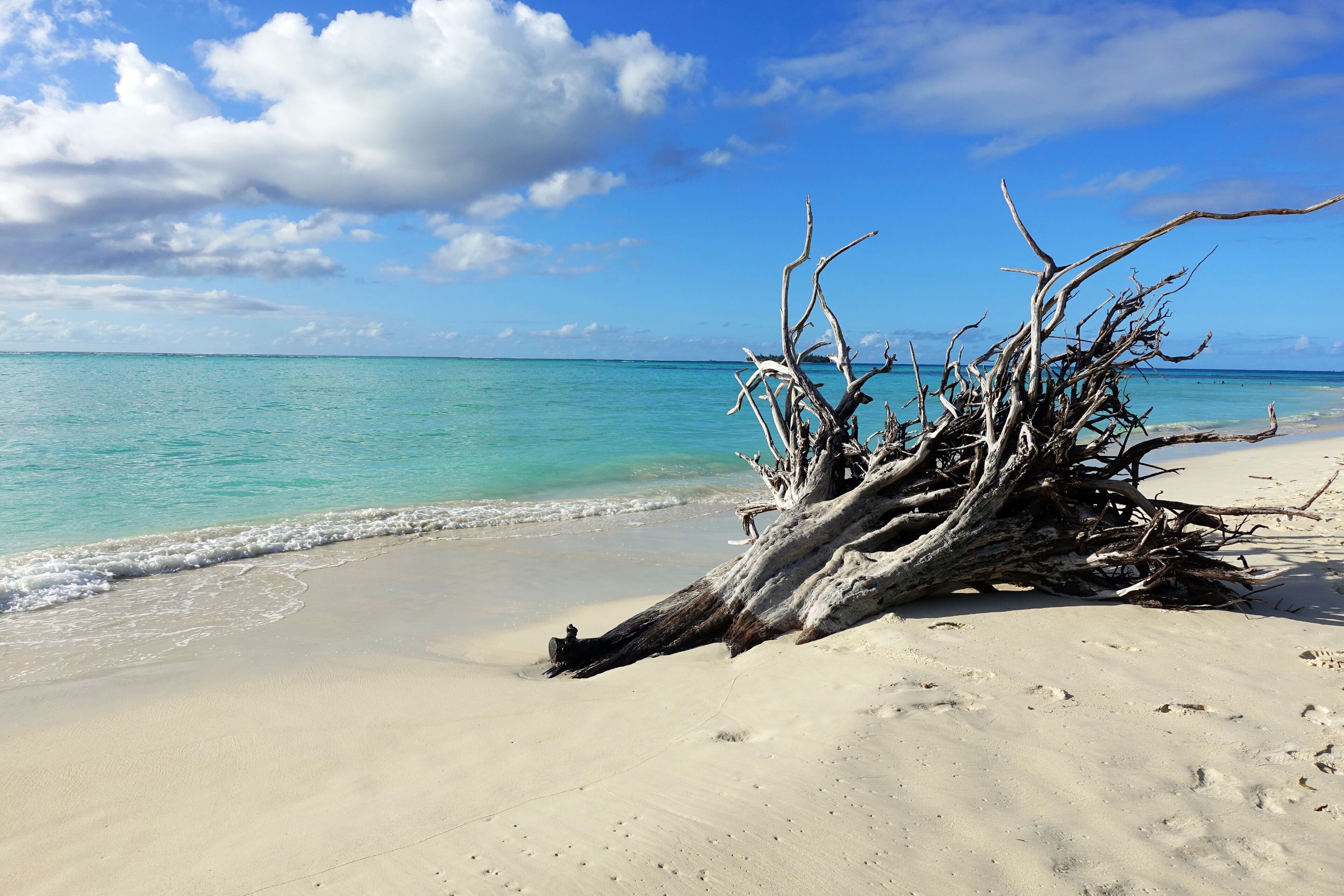 Micro beach and around in Saipan, Mariana islands