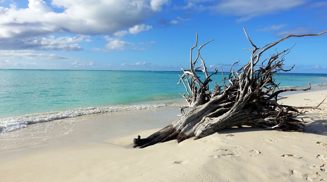 Micro beach and around in Saipan, Mariana islands