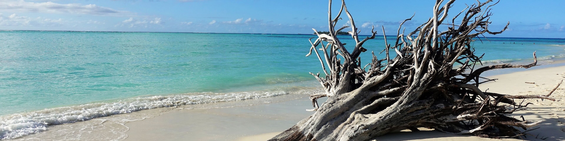 Una playa con agua turquesa cristalina, un tronco de madera a la deriva y una orilla arenosa.