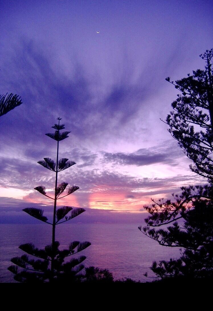 Best sunset in the world...Puppy's Point, Norfolk Island
#BeachBound
#Aquatrove
