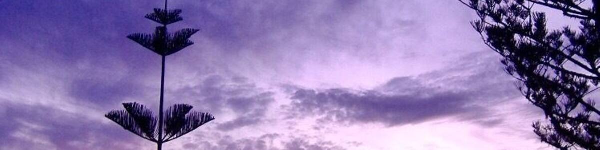 Best sunset in the world...Puppy's Point, Norfolk Island
#BeachBound
#Aquatrove