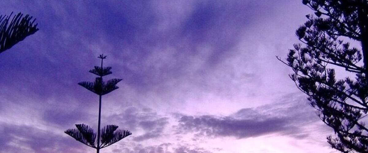 Best sunset in the world...Puppy's Point, Norfolk Island
#BeachBound
#Aquatrove