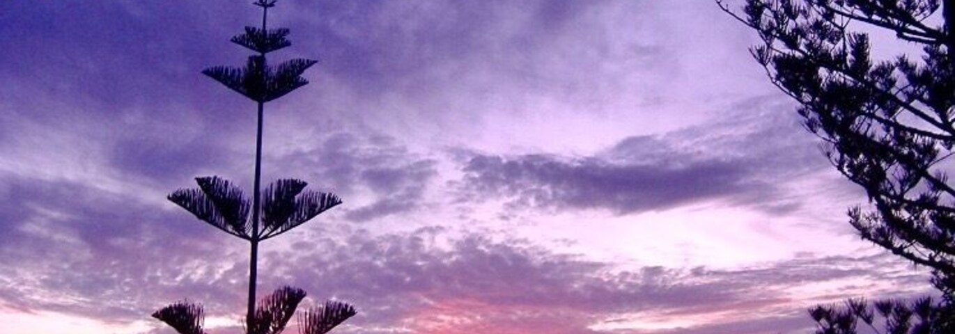 Best sunset in the world...Puppy's Point, Norfolk Island
#BeachBound
#Aquatrove