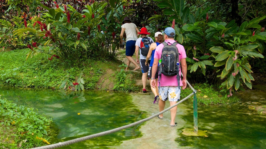 Efate showing hiking or walking as well as a small group of people