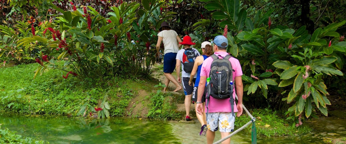 A group of hikers walking along a narrow path beside a small body of water, surrounded by lush greenery and tropical plants.