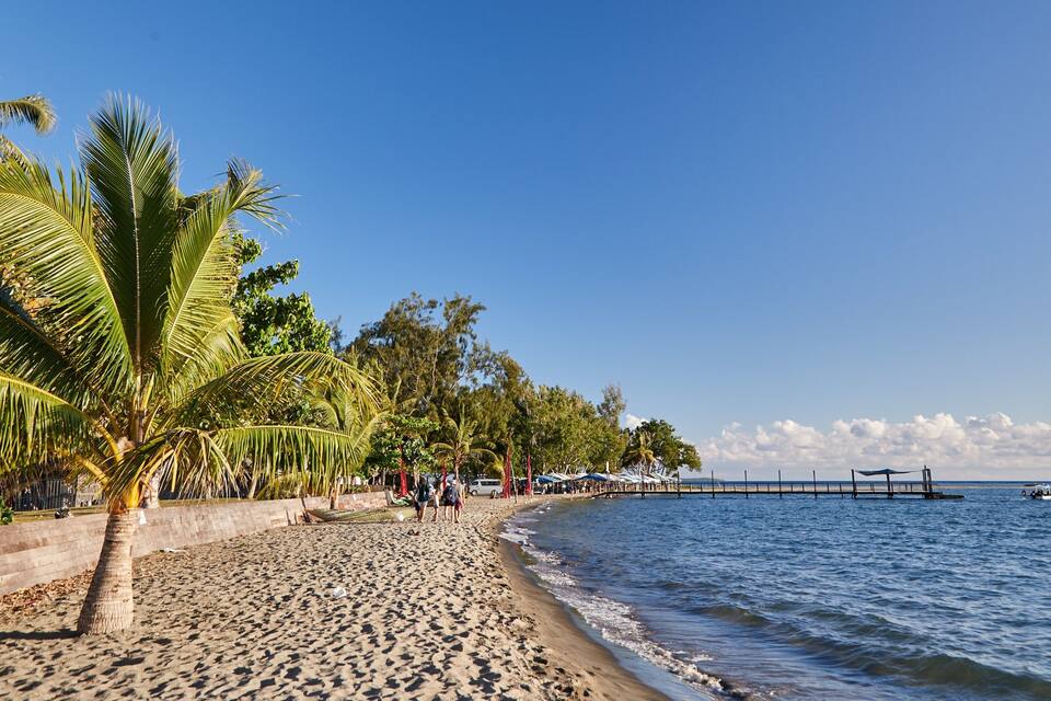 A sandy beach with palm trees and a pier extending into the water.