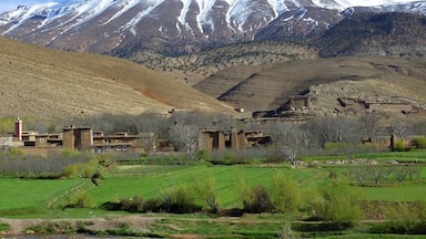 This two day trip is a fantastic opportunity to take an Atlas Mountain tour and explore the country around Imlil and Marrakech.
You’ll get to hike through the Azzaden Valley, travel through juniper forests and join the Berbers for some traditional mint tea and lunch.
Come and spend some time with the Berbers in the Moroccan countryside!