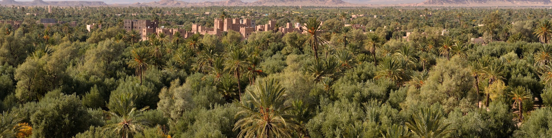 Kasbah Amridil in the Skoura oasis Palm Grove Dades Valley with High Atlas Mountains Morocco
