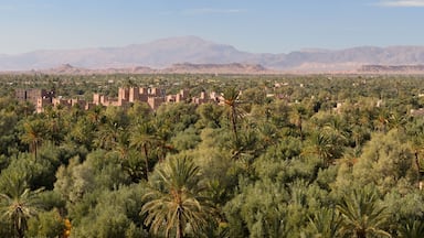 Kasbah Amridil in the Skoura oasis Palm Grove Dades Valley with High Atlas Mountains Morocco