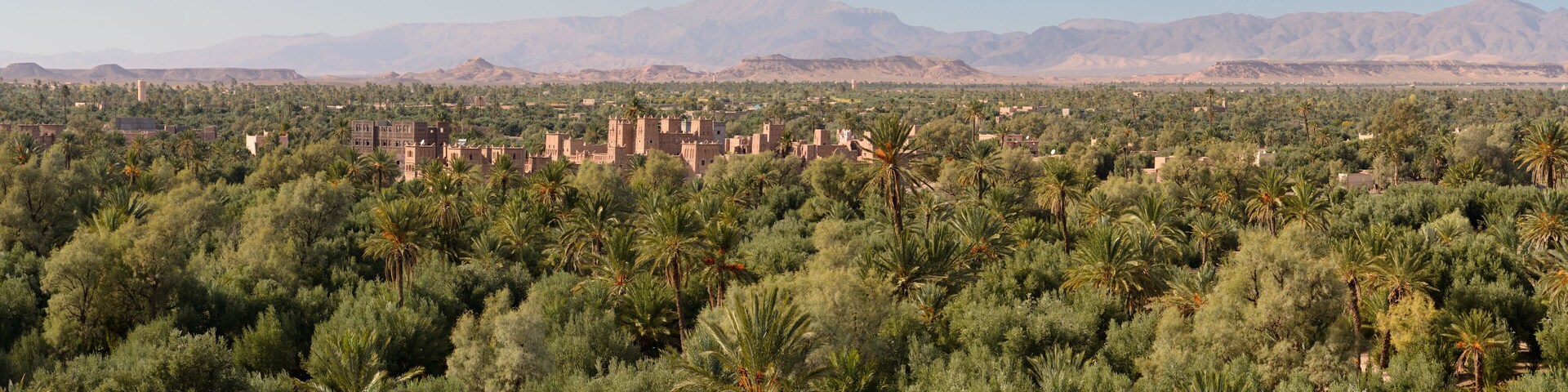 Kasbah Amridil in the Skoura oasis Palm Grove Dades Valley with High Atlas Mountains Morocco