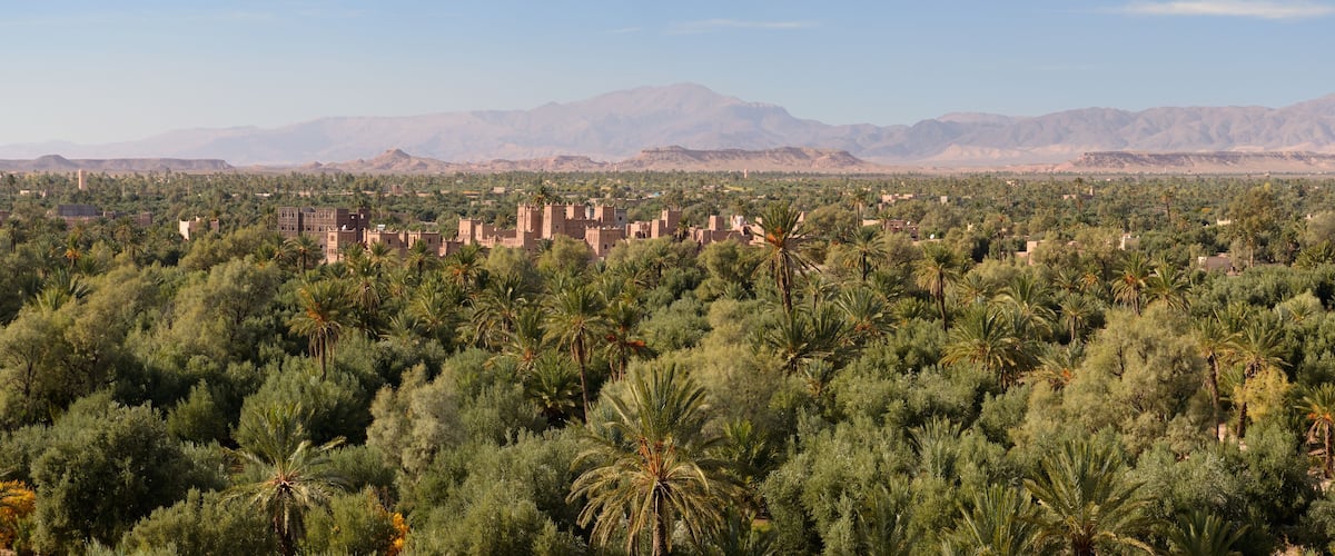 A desert landscape with palm trees, a village with traditional buildings, and mountains in the background.