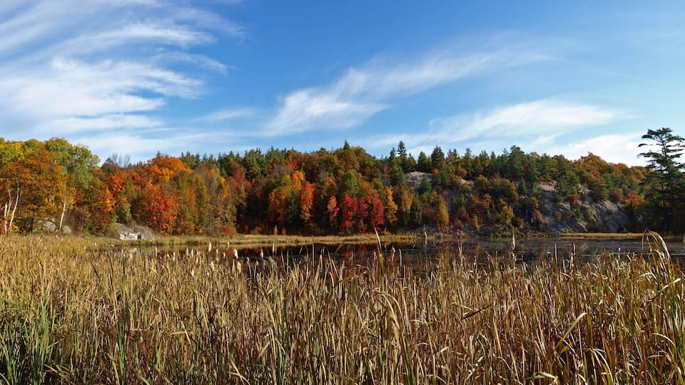A lake surrounded by autumn-colored trees and a rocky shoreline.