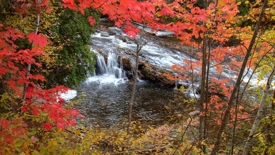 A waterfall surrounded by autumn foliage.