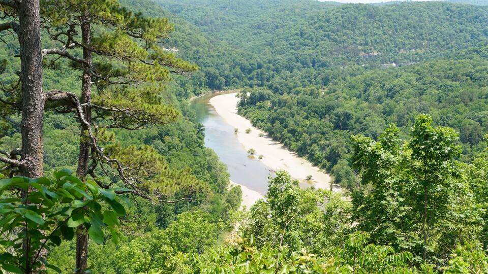 A river winding through a dense forest with a sandy beach and hills in the background.