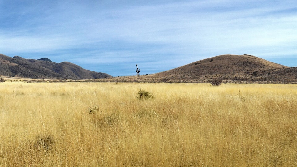 A windmill, a grassy field, and a mountain range.