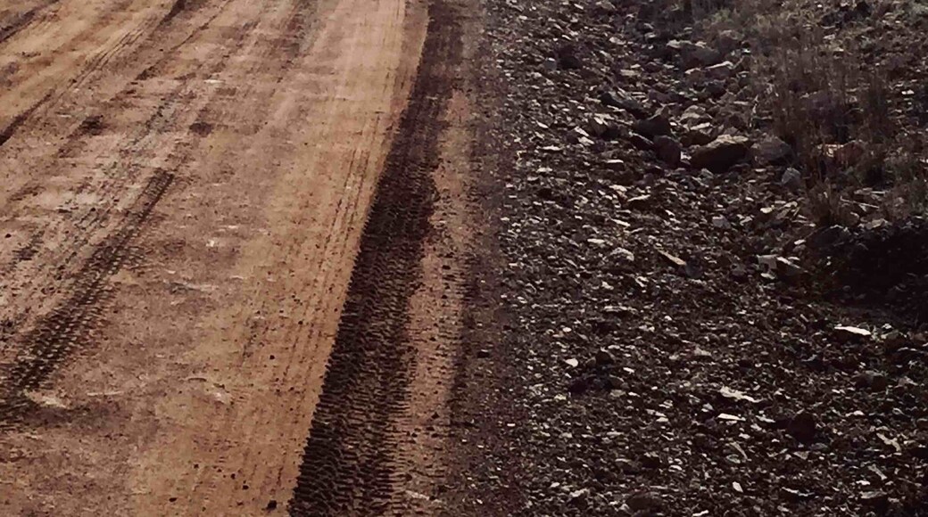 Out of Elgin AZ, go south on a dirt road that takes you into the San Rafael Valley. Beautiful, fun drive.