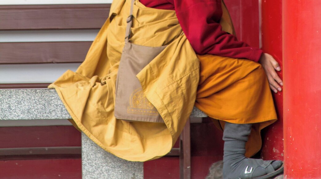 It's so interesting to see the Old China and New, side by side at this famous Temple.
The new temple is enormous and very grandiose while the smaller, old temple is the true treasure. It is here that a believed to be relic, a finger of Buddha, resides. It was hidden for years in a secret area below the temple, taken there as a group of priests to hide it from Mongols who raided the area.
#Culture
It was only found when the old temple leaned so much that the governed stepped in to try and save the crumbling building. When the secret chamber was discovered, the importance of this area was realized and the new temple built beside it.
You will enjoy the gardens and huge Buddhas sculptures throughout the new grounds as well as appreciate the restored grounds of Famen.
#red