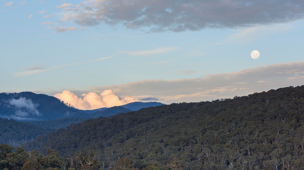 Merrijig Victoria, High Country rural town in Australia