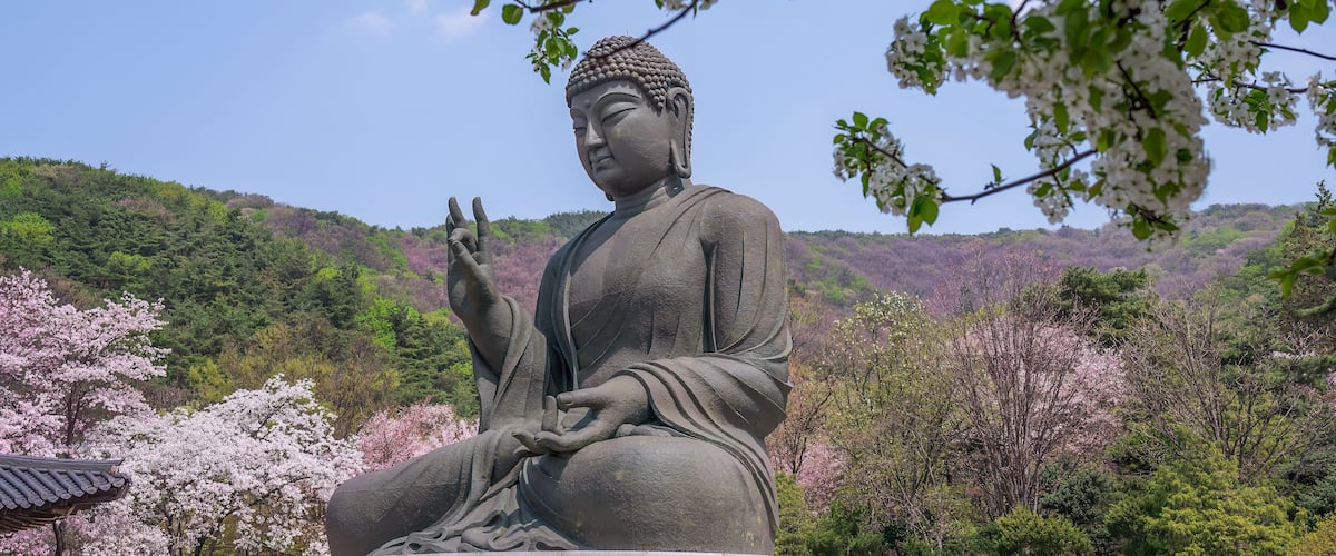 south korea landscape
Important Buddhist sites in Cheonan, Chungcheongnam-do, South Korea
spring view Beautiful Gakwonsa Temple