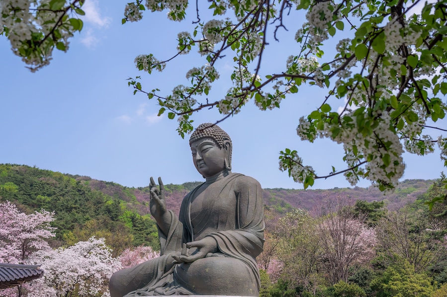 south korea landscape
Important Buddhist sites in Cheonan, Chungcheongnam-do, South Korea
spring view Beautiful Gakwonsa Temple