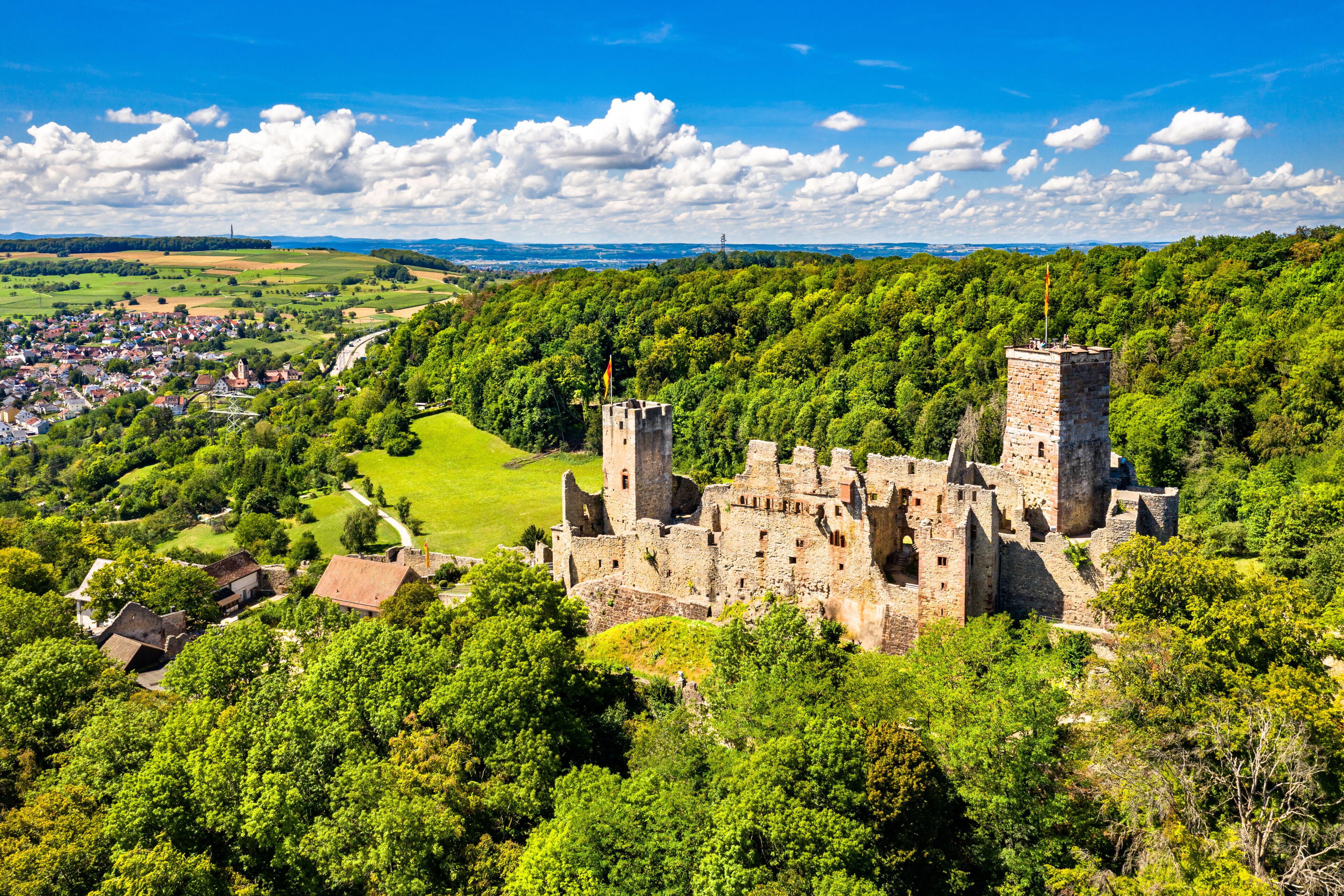 A medieval castle surrounded by lush greenery and a small village.