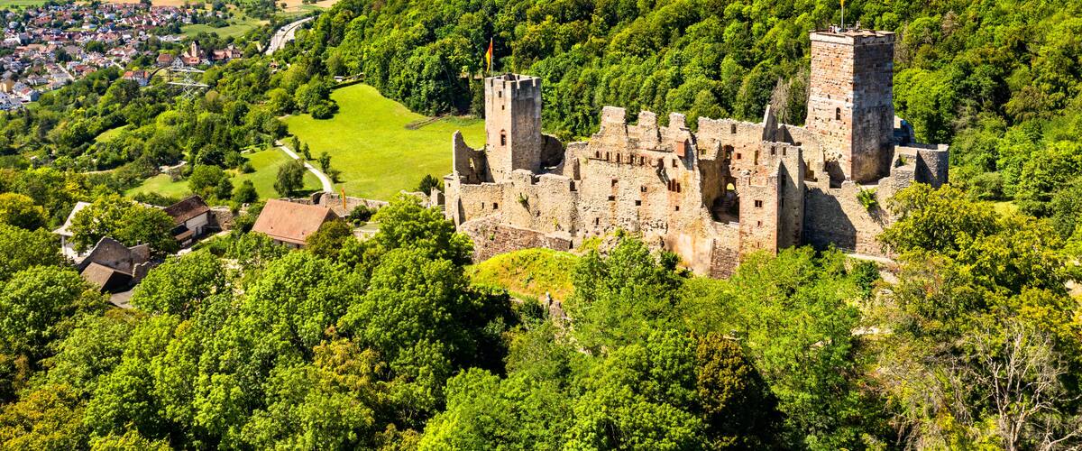 A medieval castle surrounded by lush greenery and a small village.
