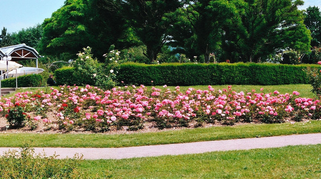 Rosengarten...Grütt..