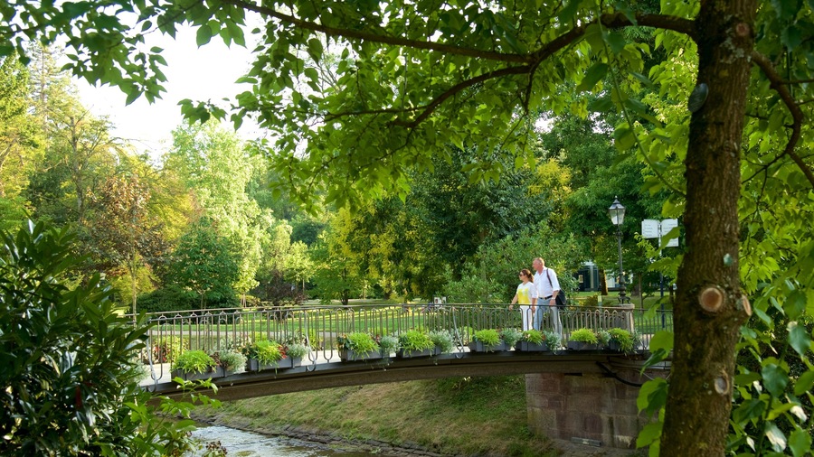 Baden-Baden showing a garden