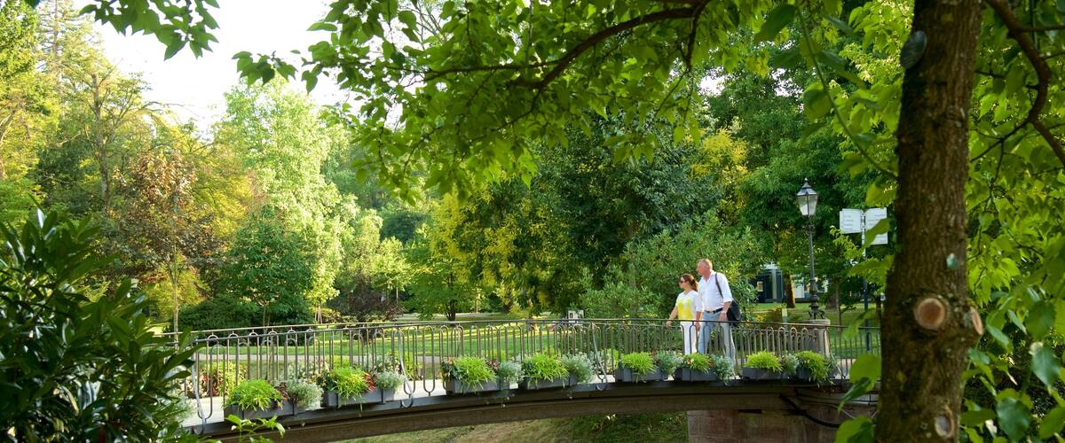 A stone bridge over a stream in a park with lush greenery and trees.